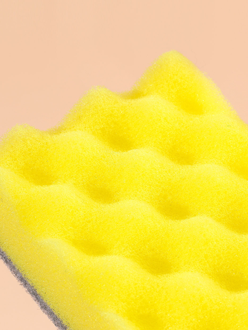 Cleaning Sponge