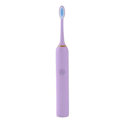 Battery Powered Roman Pillar Design Electric Toothbrush with 3 Heads  Model: BBKH06(Purple)