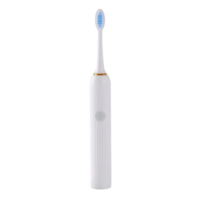 Battery Powered Roman Pillar Design Electric Toothbrush with 3 Heads  Model: BBKH06(White)