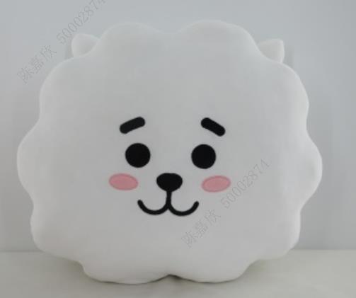 BT21 Collection 16in. Head-Shape Pillow(RJ)