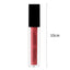 MINISO LOCK IT ON MATTE LIQUID LIPSTICK (04 BRICK)