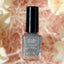 GLITTER NAIL POLISH(SHINING SILVERY)