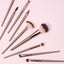 Premium Classic Makeup Brush Set (12 pcs)(Golden)