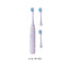 Multi-color Electric Toothbrush Kit(Purple)