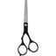 Hair Cutting Shears