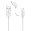 2 in 1 USB Cable for Apple(White)